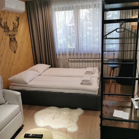 Zakopianska Gawra Lejlighed *